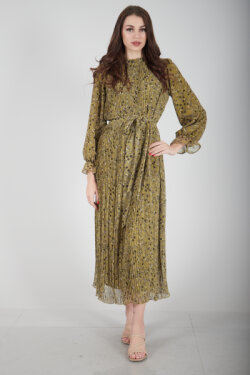 Fıstık Boydan Piliseli Elbise
