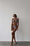 Zebra Bikini Takım