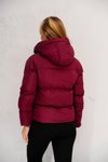 Bordo Kısa Kapüşonlu Regular Mont