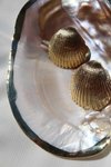 Gold Küçük Deniz Kabuğu Küpe