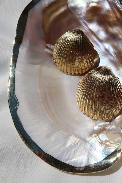 Gold Küçük Deniz Kabuğu Küpe